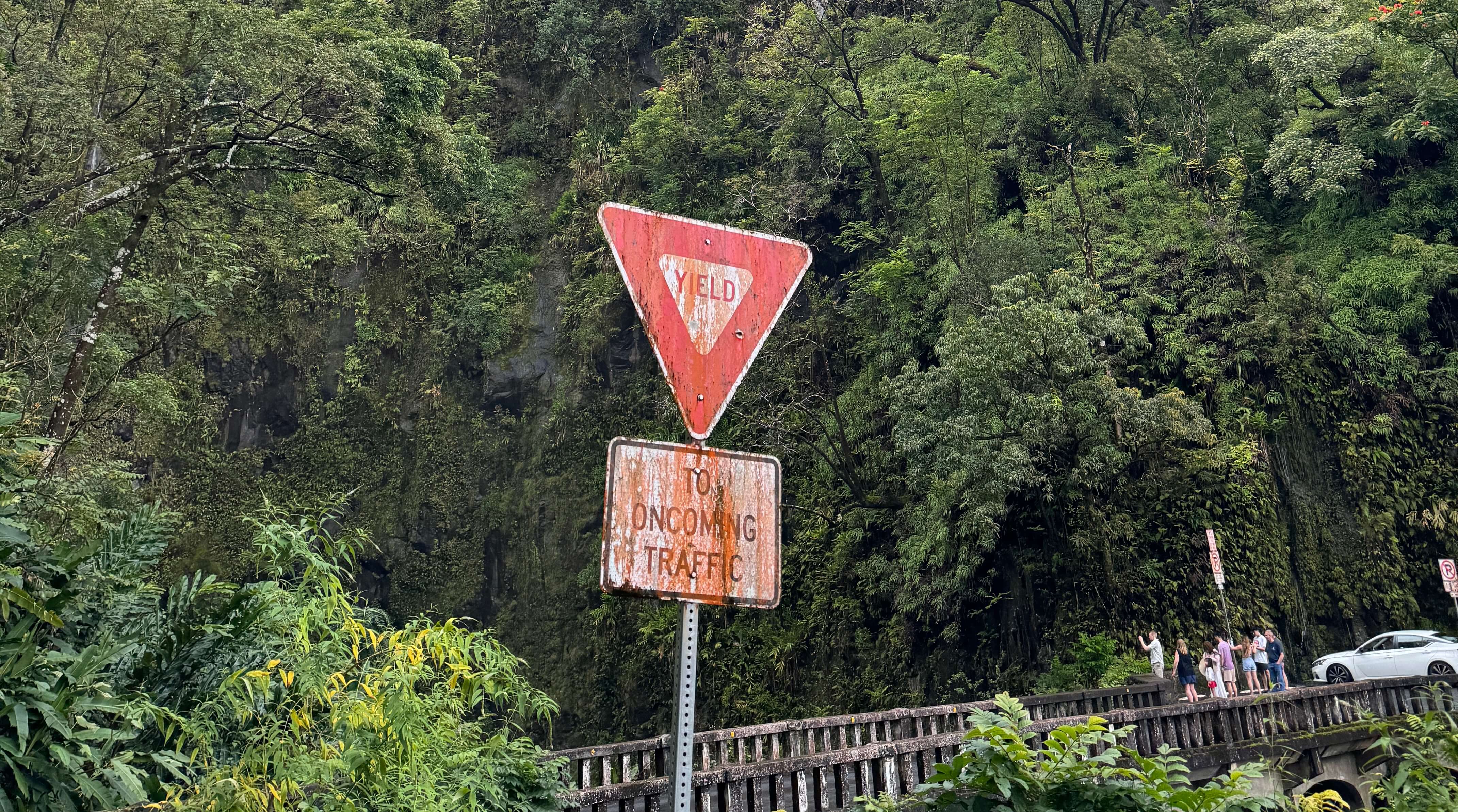 Cool yield sign from the Road to Hana in Maui